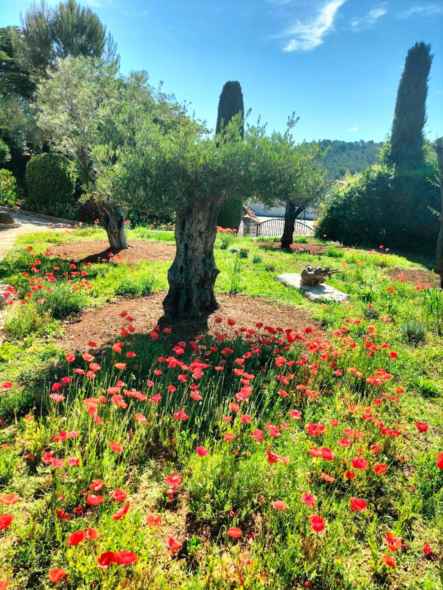 Vacances Carnoux-en-Provence المظهر الخارجي الصورة